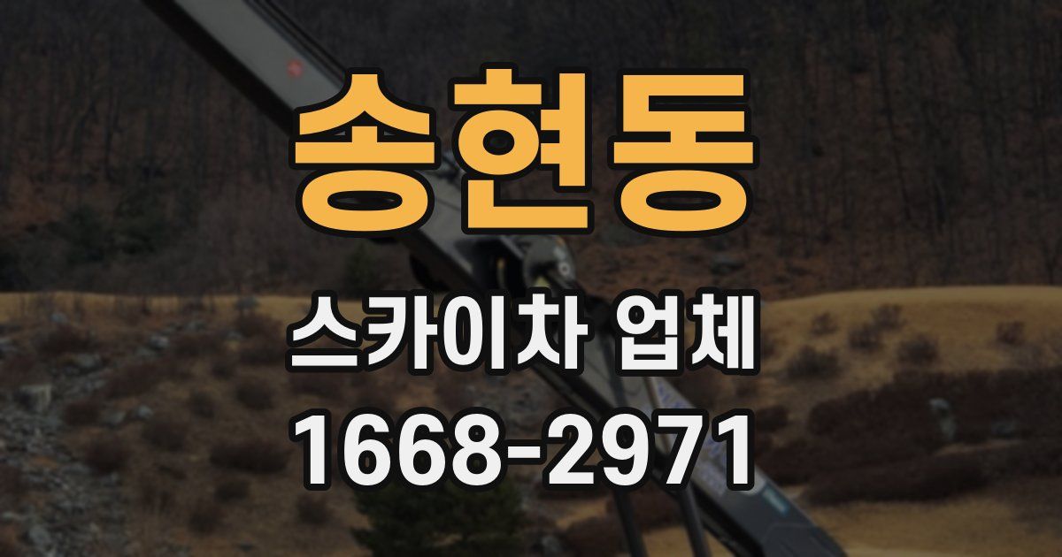 송현동 스카이차 업체