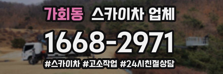 가회동 스카이차 업체