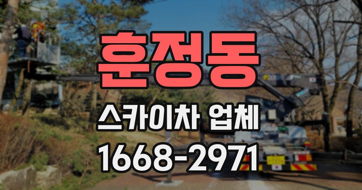 훈정동 스카이차 업체