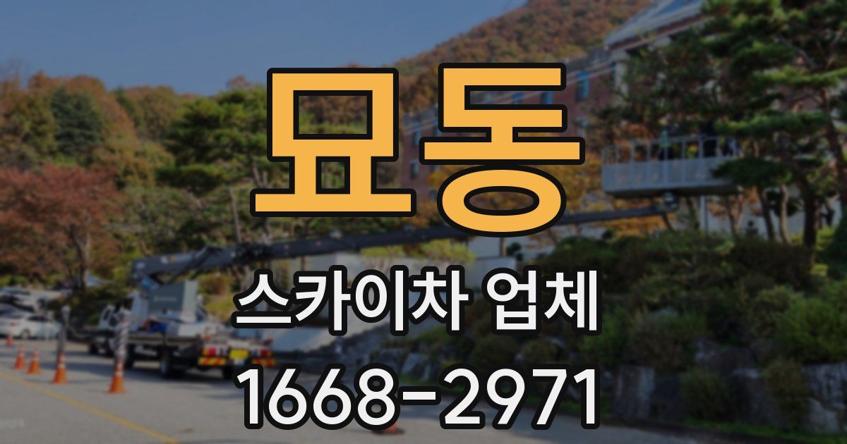 묘동 스카이차 업체