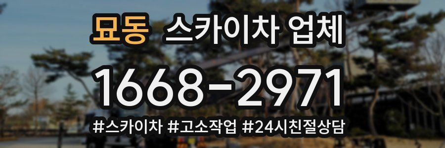 묘동 스카이차 업체