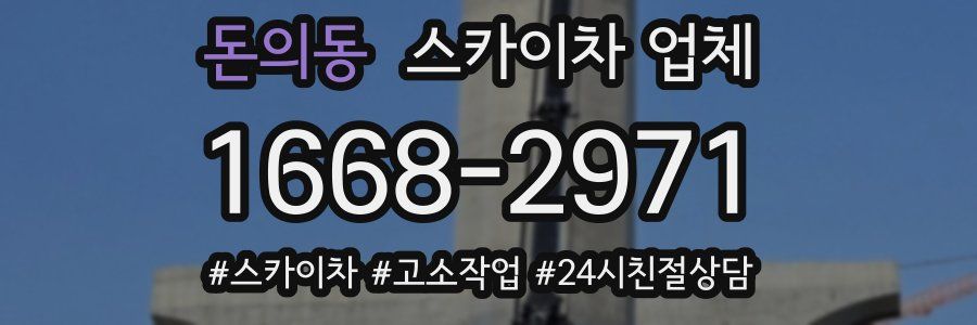 돈의동 스카이차 업체