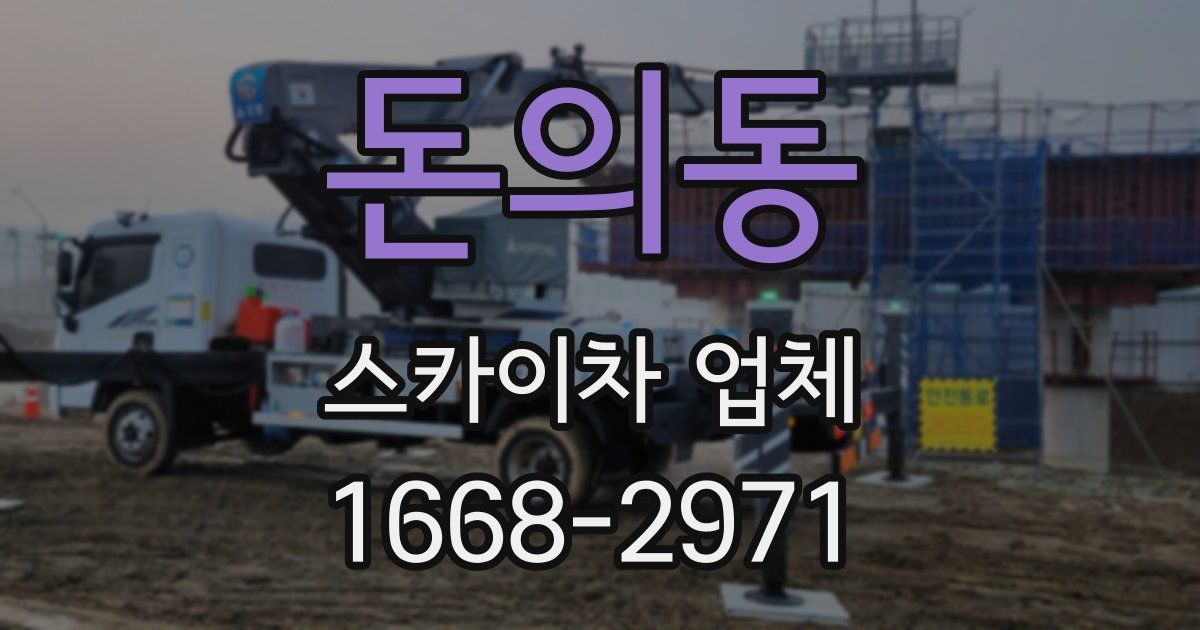 돈의동 스카이차 업체