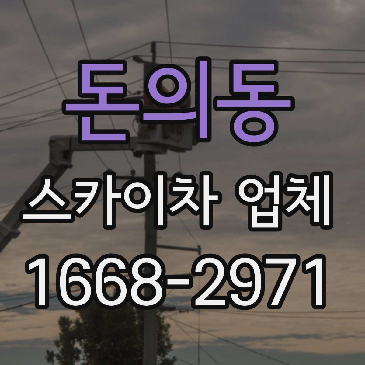 돈의동 스카이차 업체
