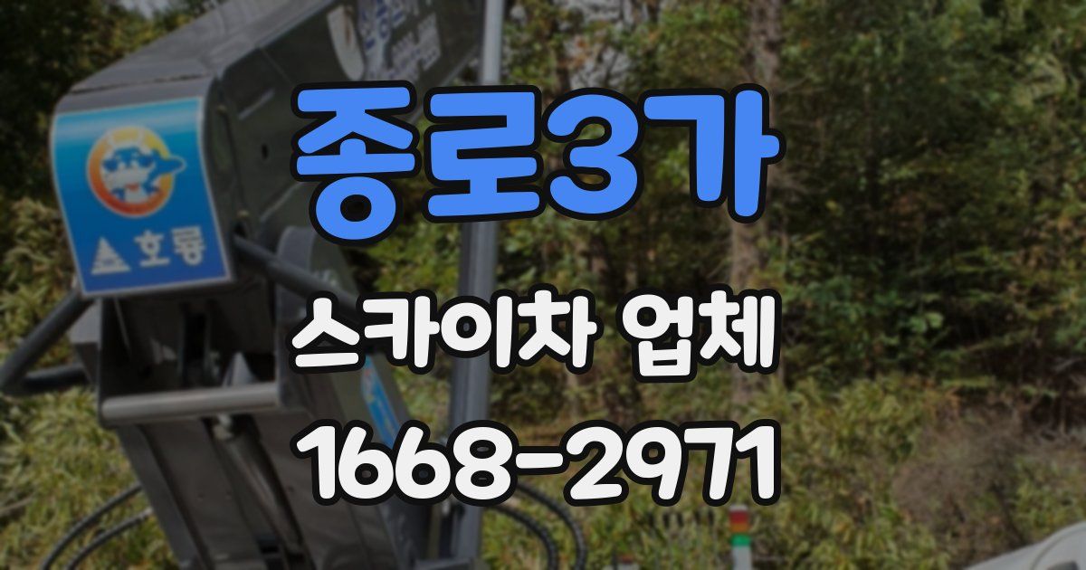 종로3가 스카이차 업체