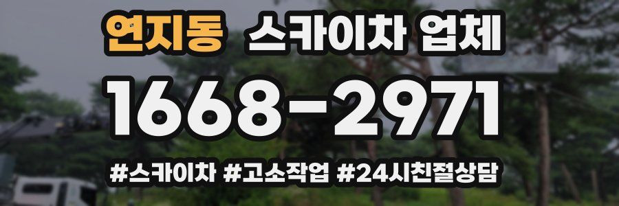 연지동 스카이차 업체