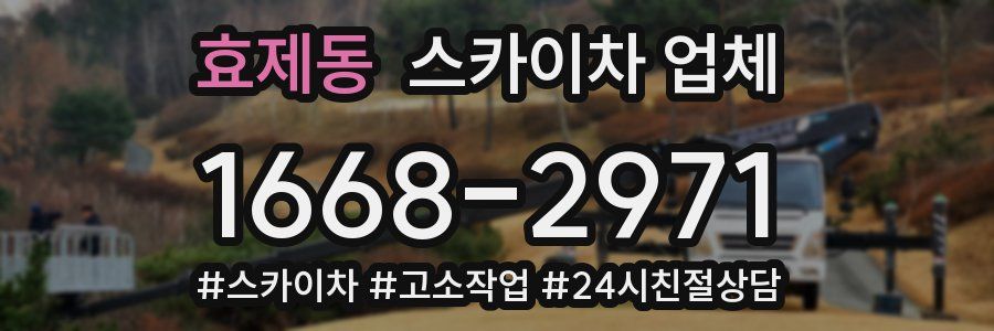 효제동 스카이차 업체