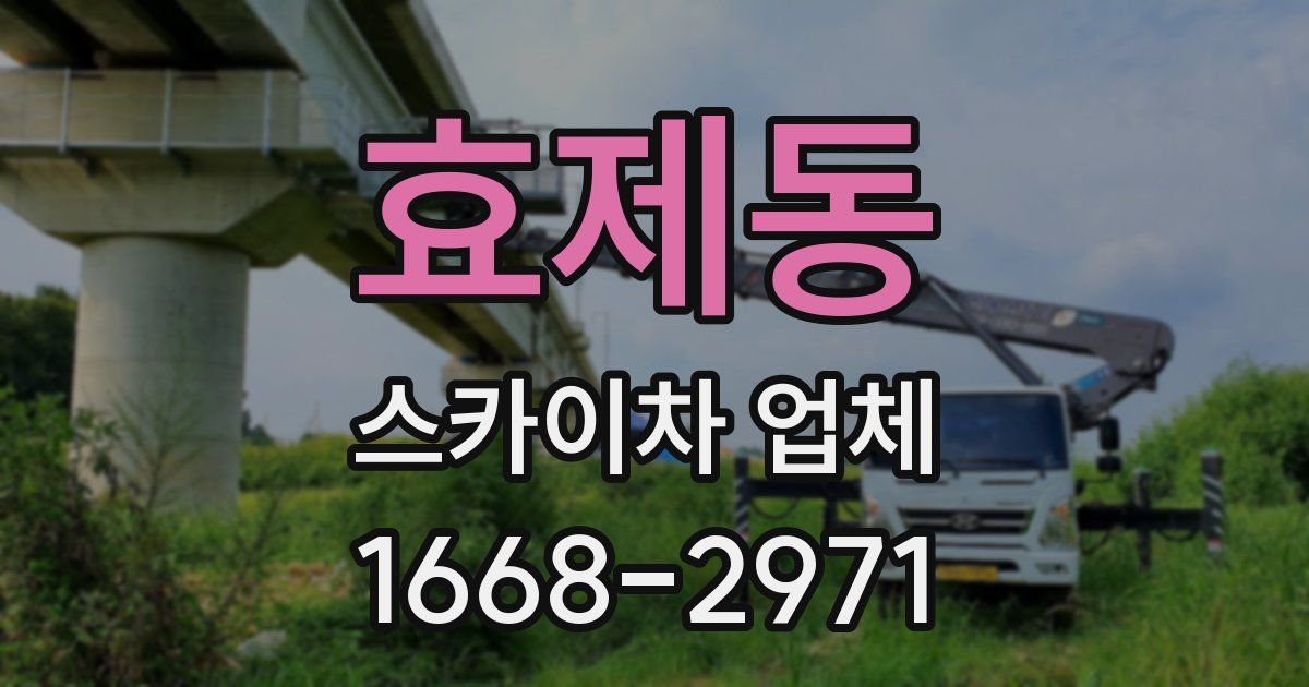 효제동 스카이차 업체
