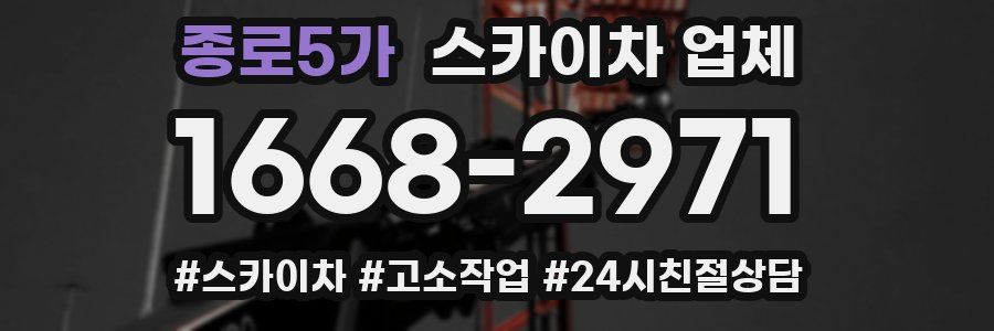 종로5가 스카이차 업체
