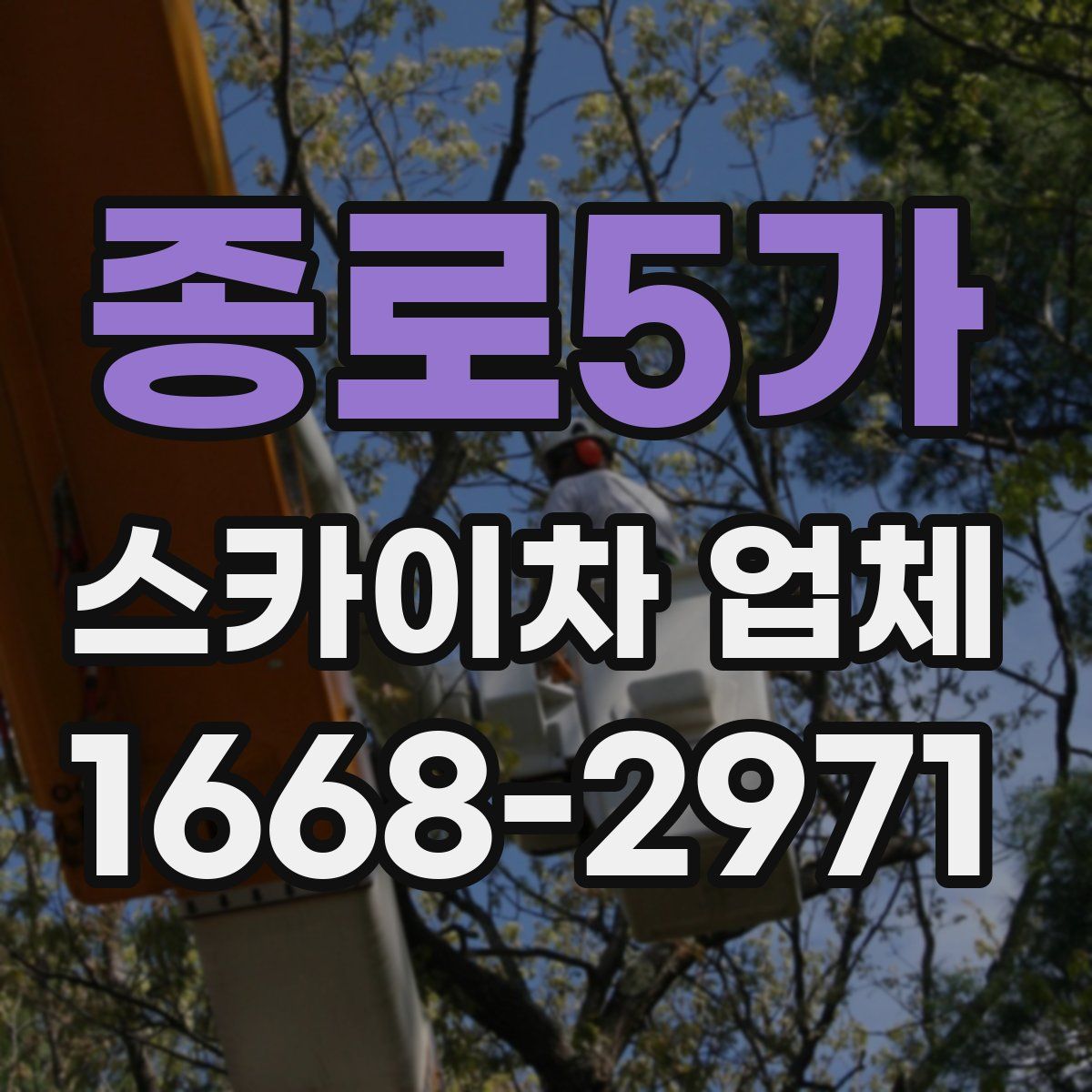 종로5가 스카이차 업체