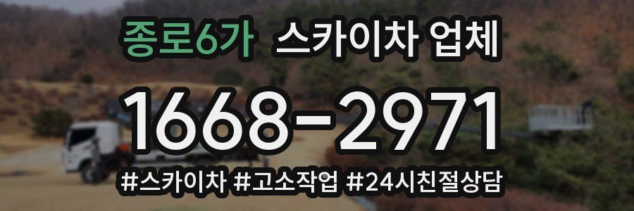 종로6가 스카이차 업체