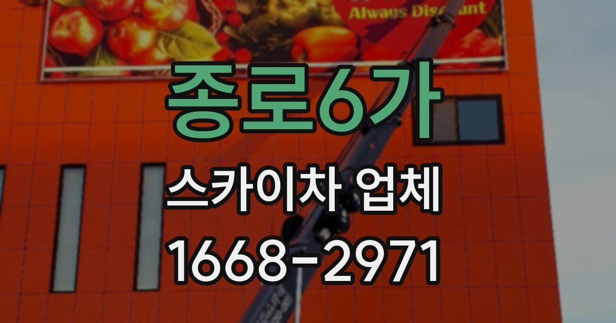 종로6가 스카이차 업체