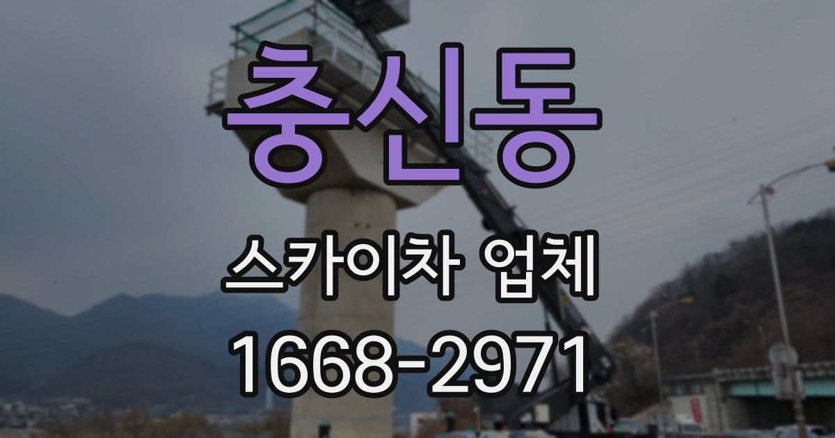 충신동 스카이차 업체