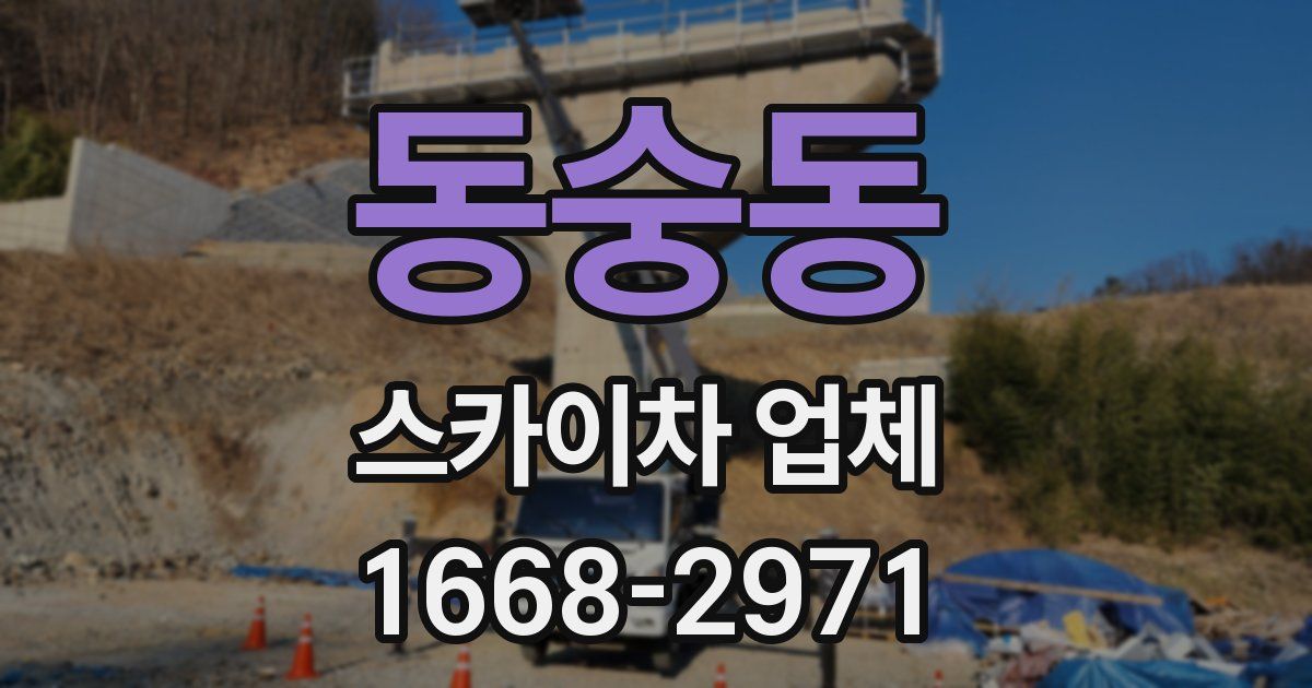 동숭동 스카이차 업체