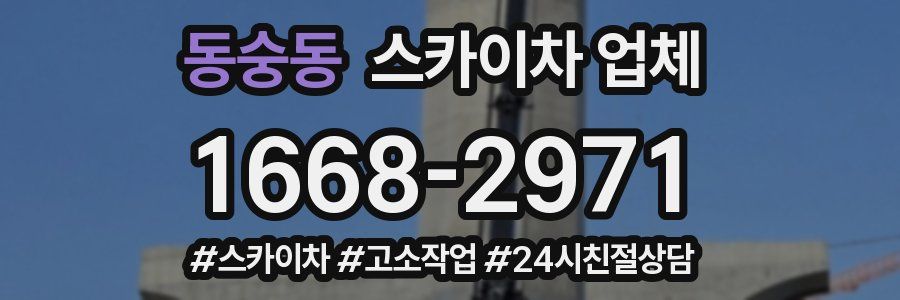 동숭동 스카이차 업체