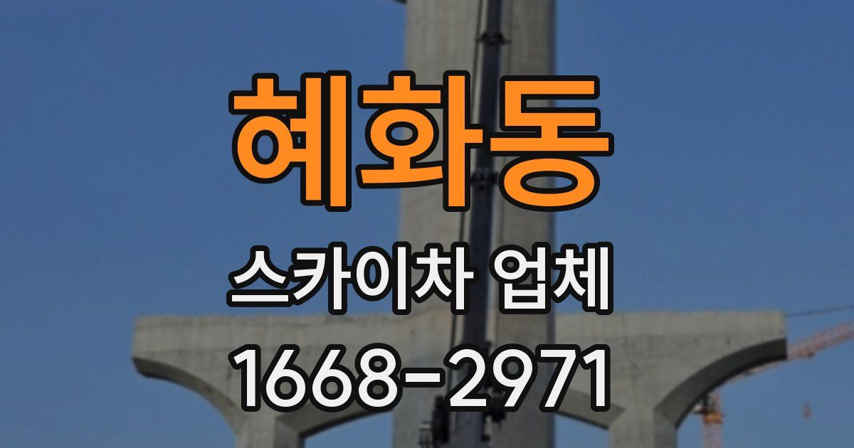 혜화동 스카이차 업체