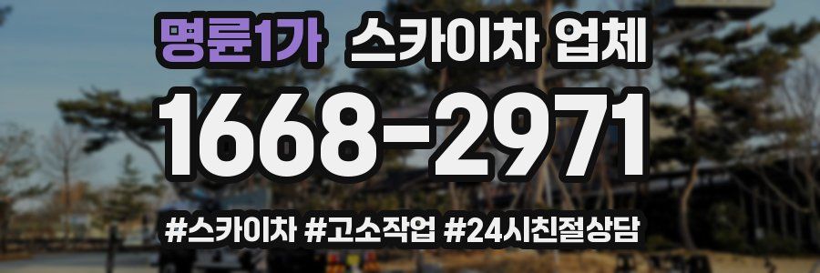 명륜1가 스카이차 업체