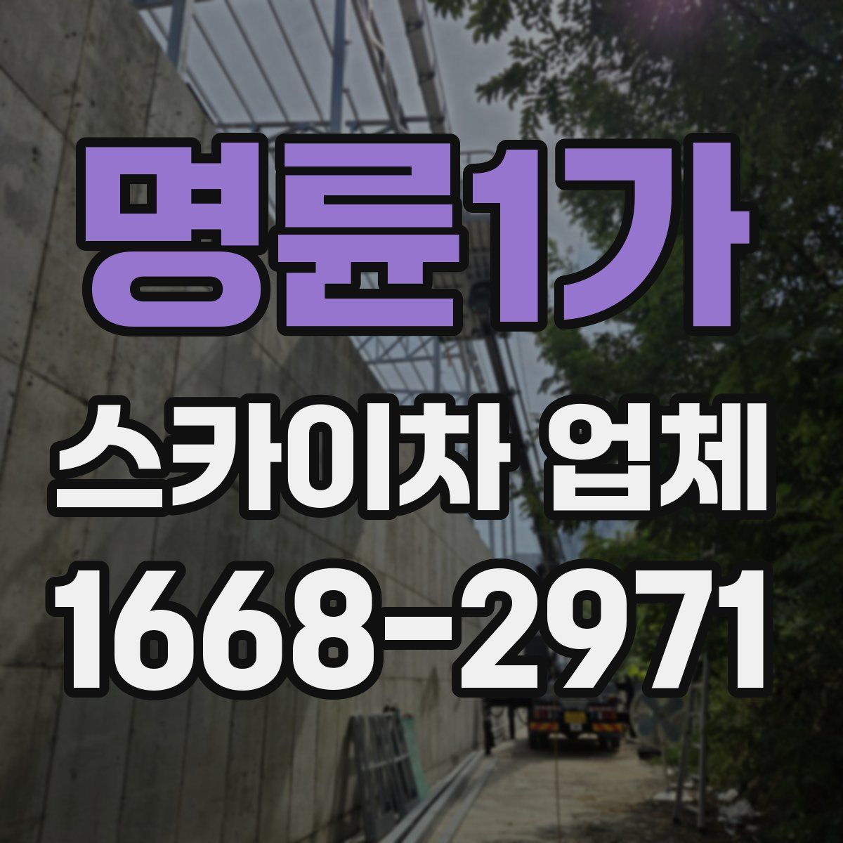 명륜1가 스카이차 업체