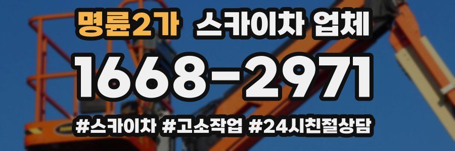 명륜2가 스카이차 업체