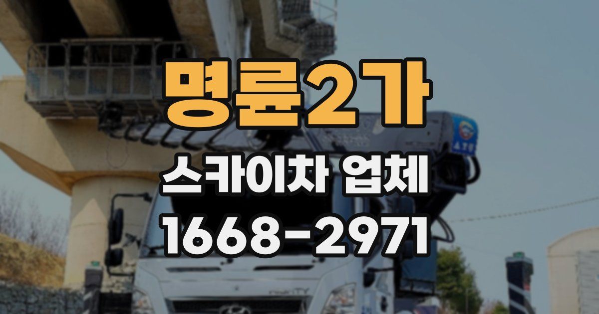 명륜2가 스카이차 업체
