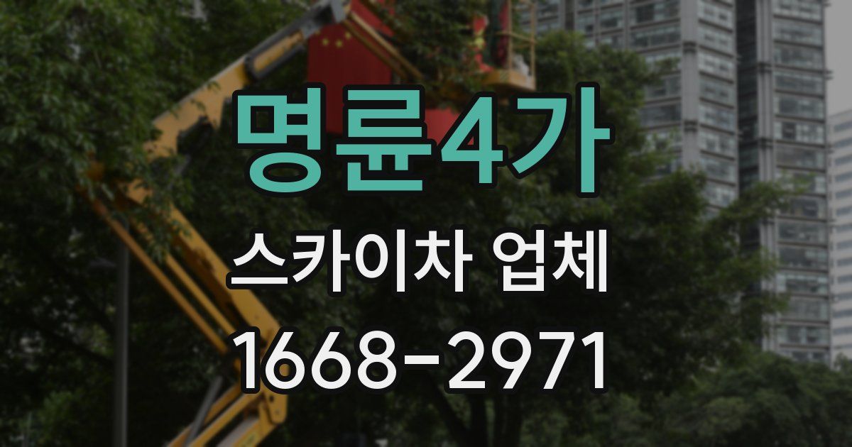 명륜4가 스카이차 업체