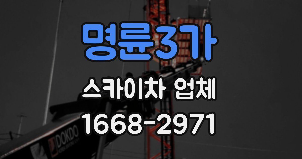 명륜3가 스카이차 업체