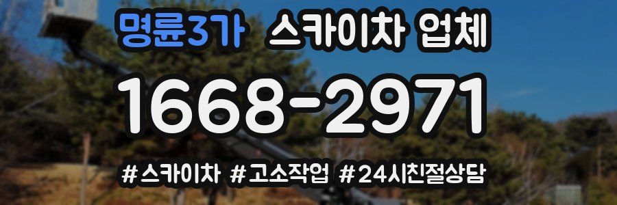 명륜3가 스카이차 업체