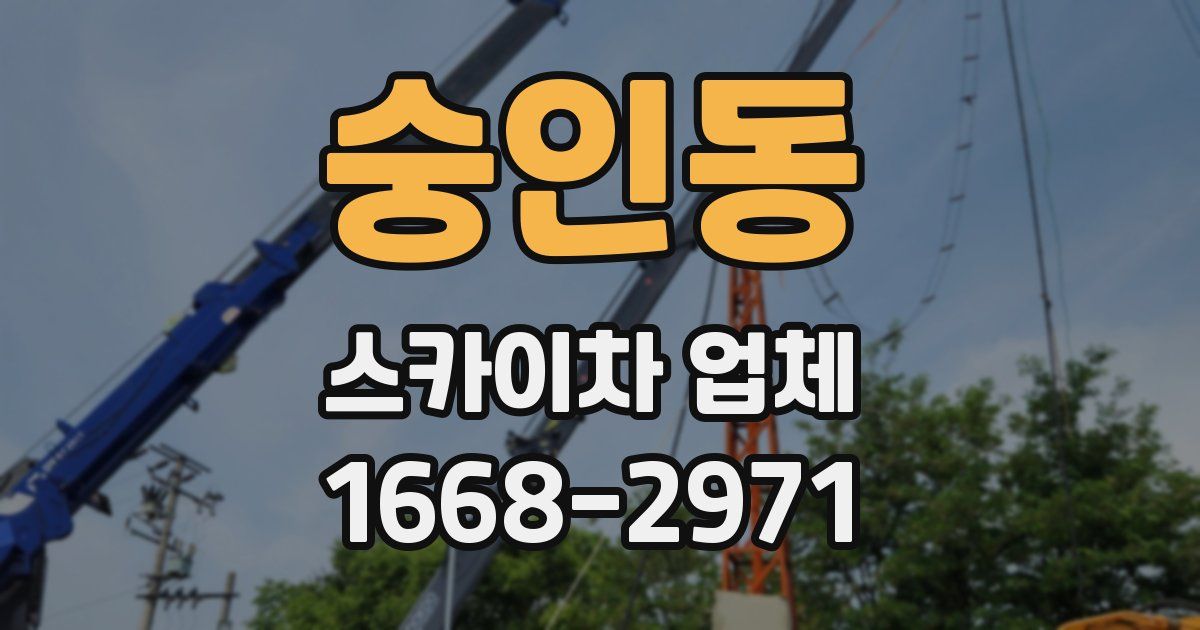 숭인동 스카이차 업체
