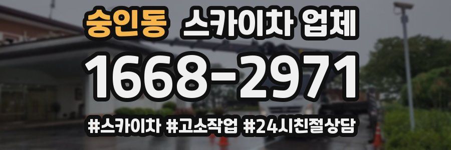 숭인동 스카이차 업체