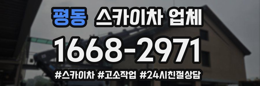 평동 스카이차 업체