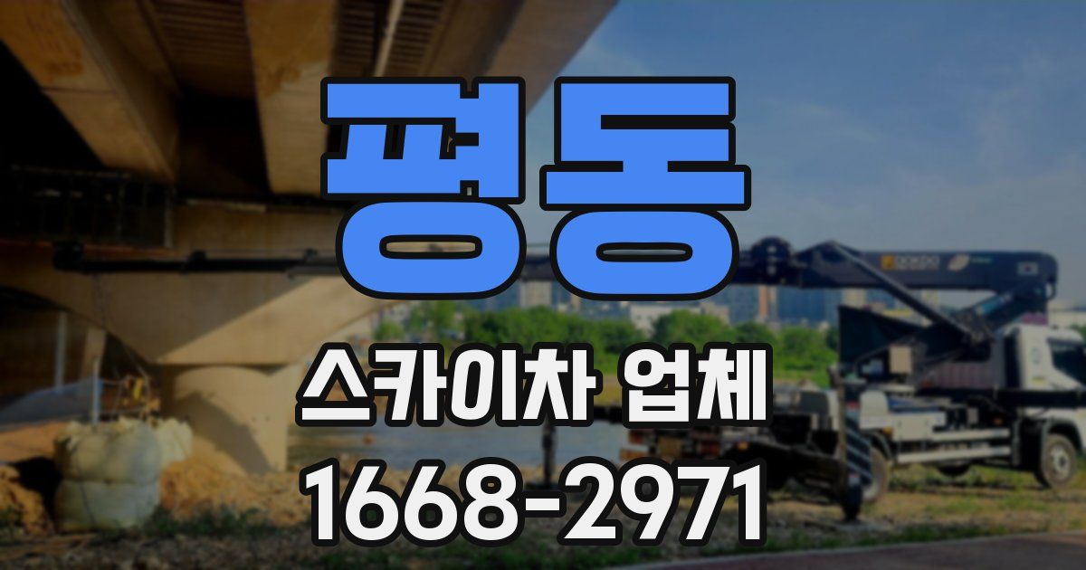평동 스카이차 업체