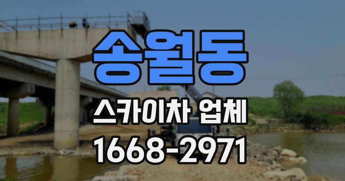 송월동 스카이차 업체