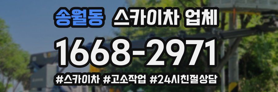 송월동 스카이차 업체
