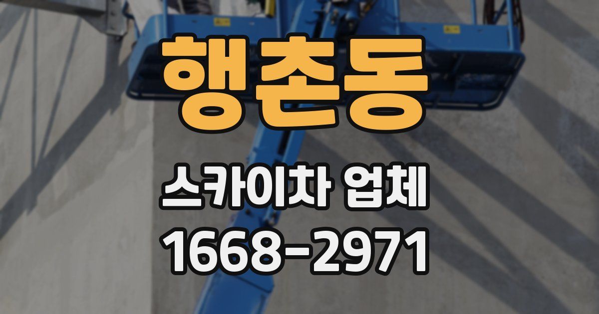 행촌동 스카이차 업체