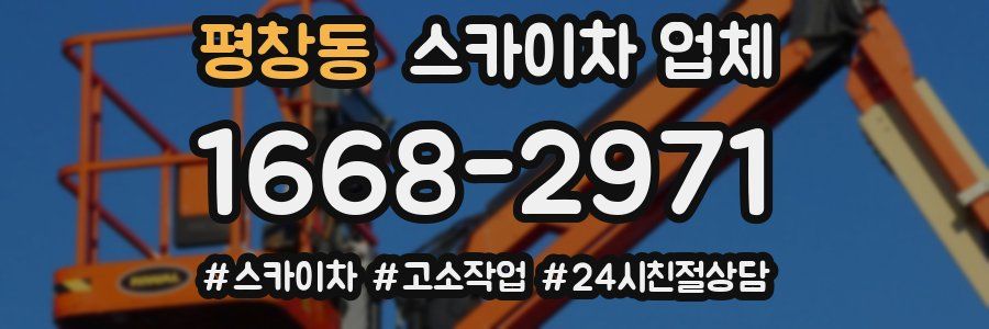 평창동 스카이차 업체