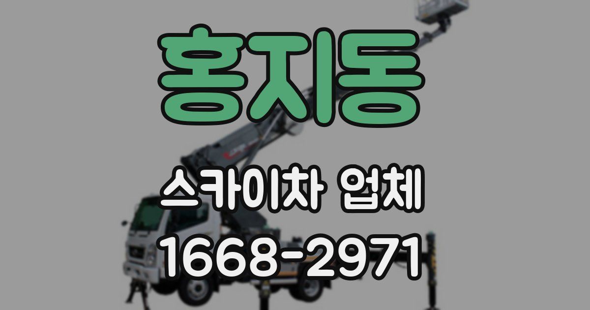 홍지동 스카이차 업체