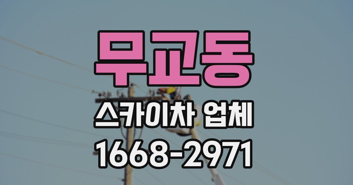 무교동 스카이차 업체