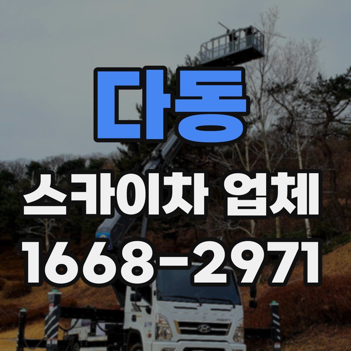 다동 스카이차 업체
