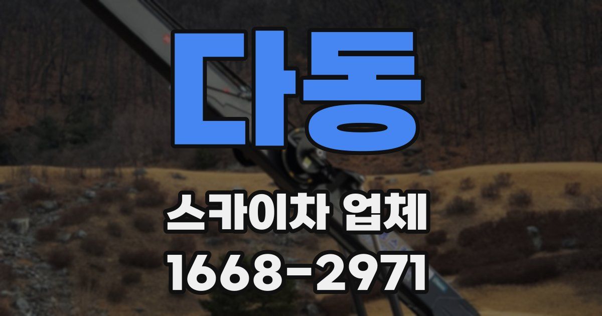 다동 스카이차 업체