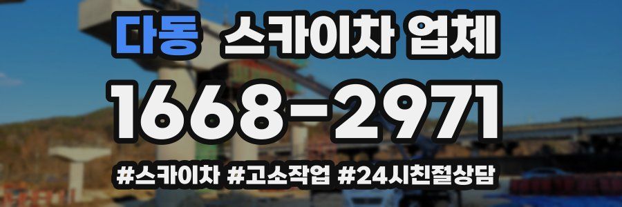 다동 스카이차 업체