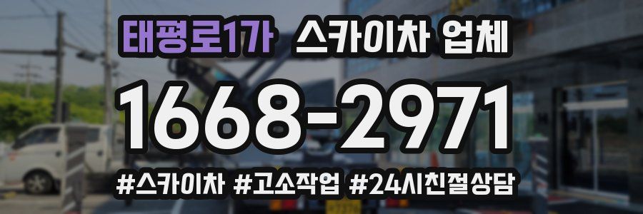 태평로1가 스카이차 업체