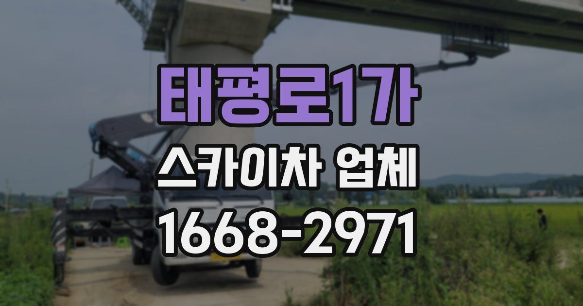 태평로1가 스카이차 업체