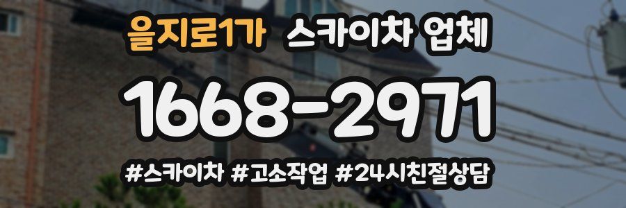 을지로1가 스카이차 업체
