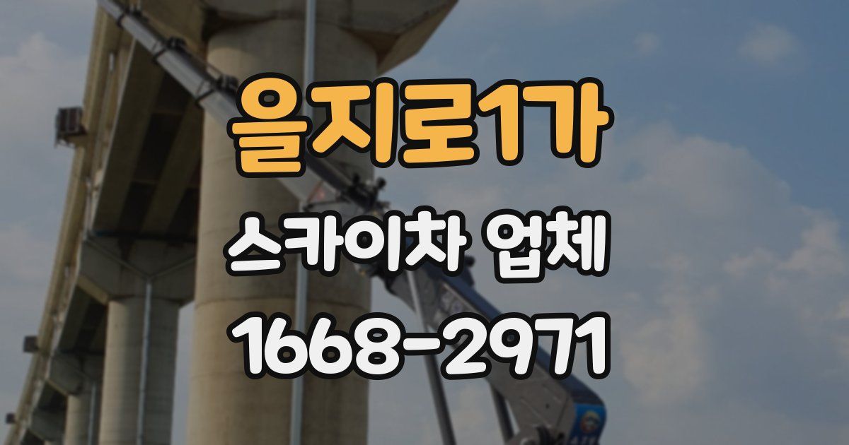 을지로1가 스카이차 업체