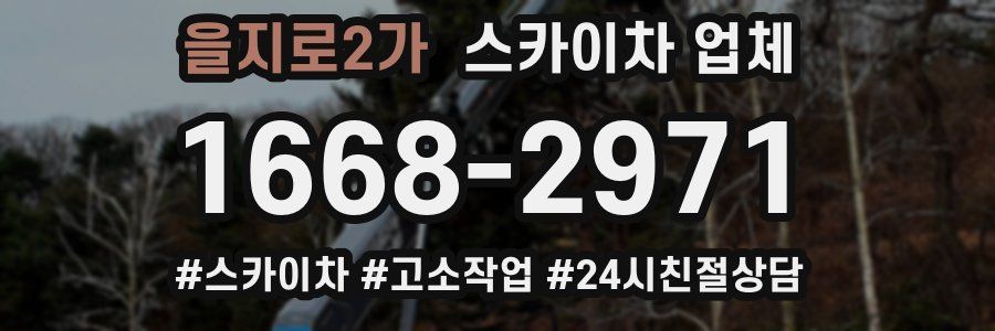 을지로2가 스카이차 업체