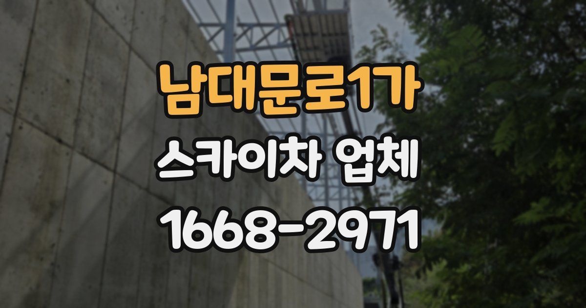 남대문로1가 스카이차 업체