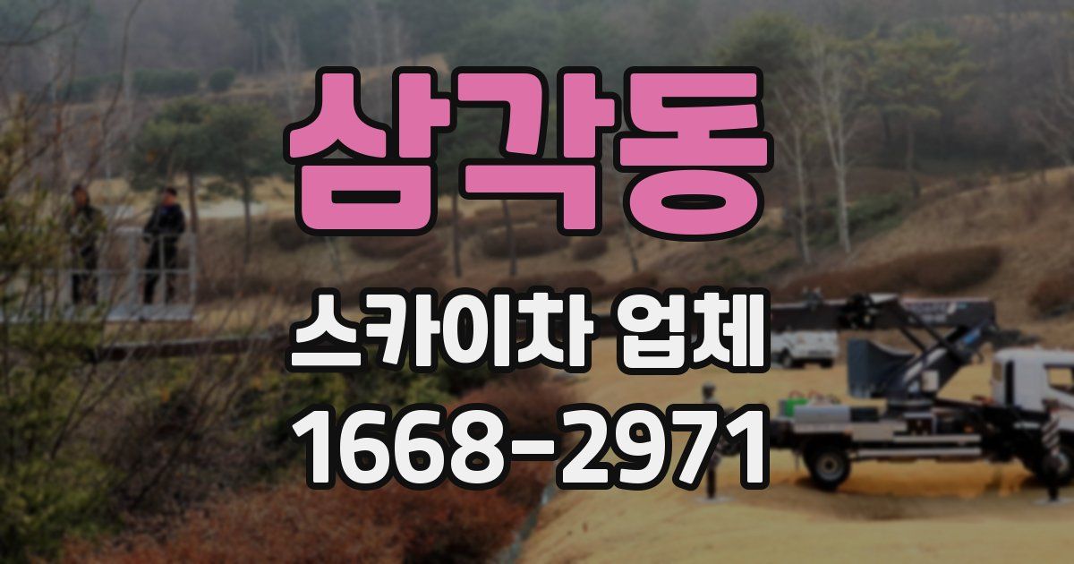 삼각동 스카이차 업체
