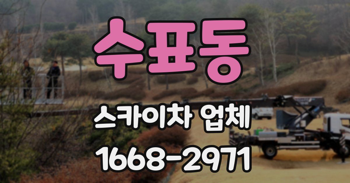 수표동 스카이차 업체