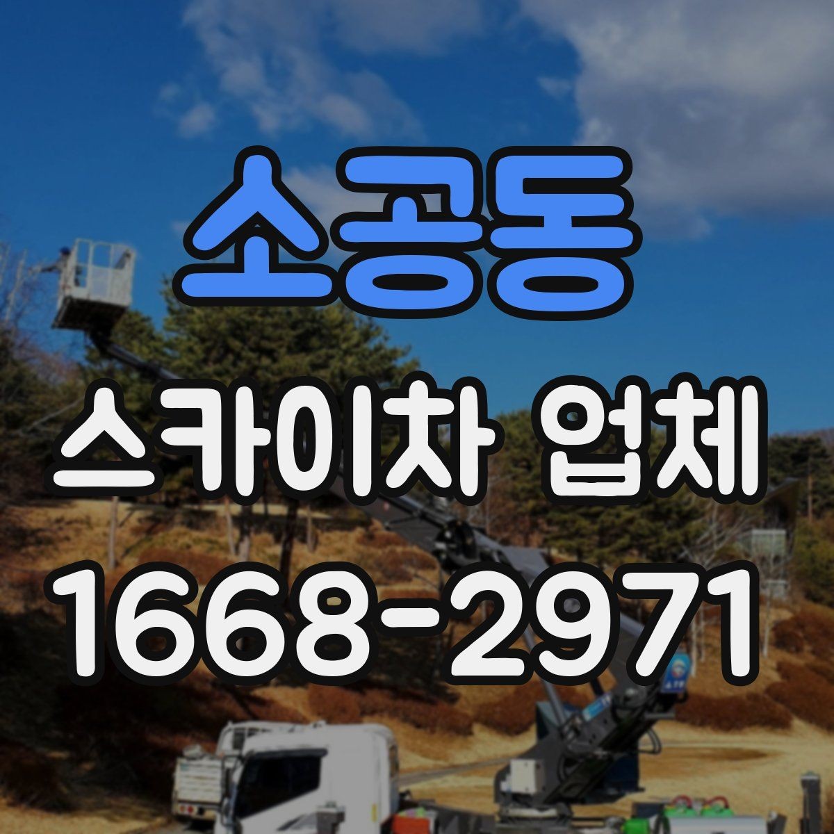 소공동 스카이차 업체 후기 볼 때 함께 봐야 할 것