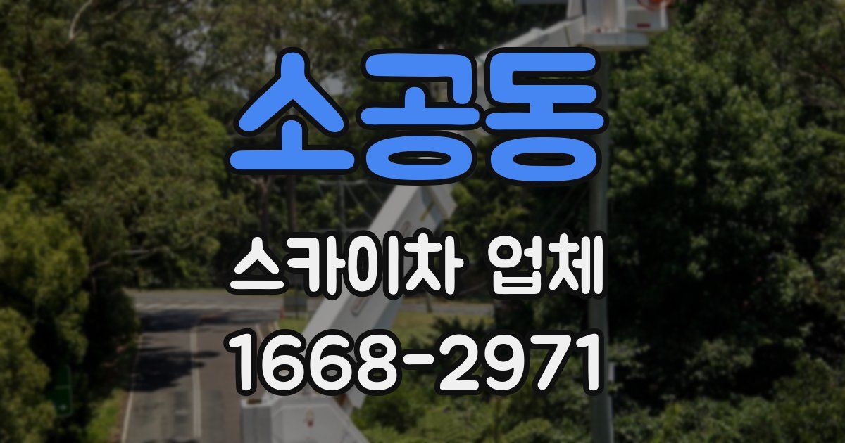 소공동 스카이차 업체
